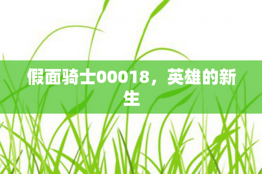 假面骑士00018图片