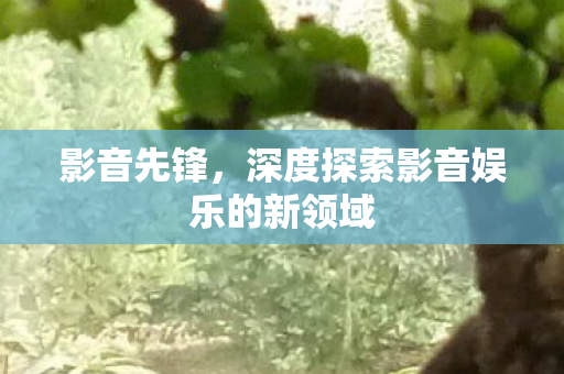 深度探索影音娱乐的新领域图片