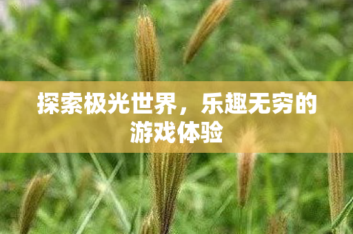 乐趣无穷的游戏体验图片