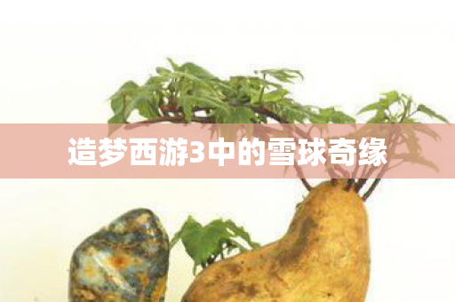 造梦西游3中的雪球奇缘图片