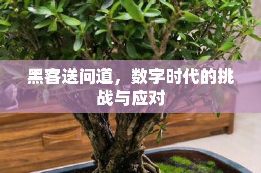 数字时代的挑战与应对图片