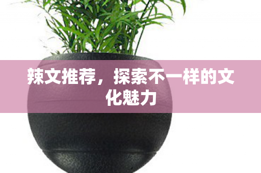 探索不一样的文化魅力图片