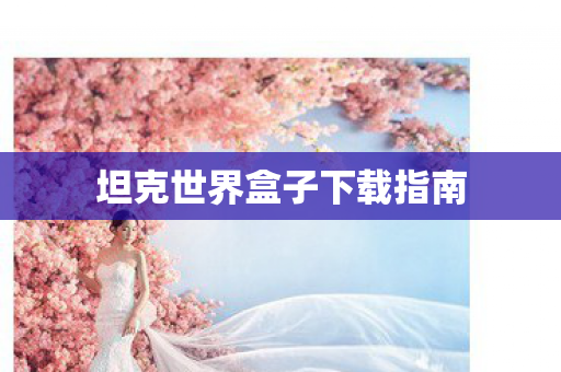 坦克世界盒子下载指南图片