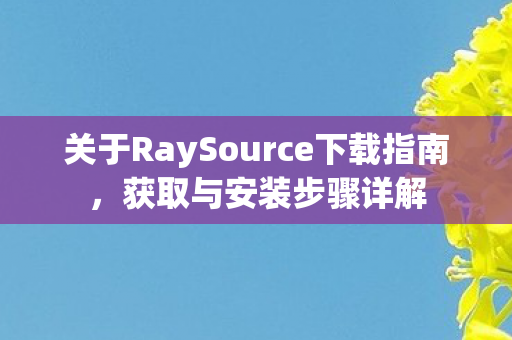 关于RaySource下载指南图片