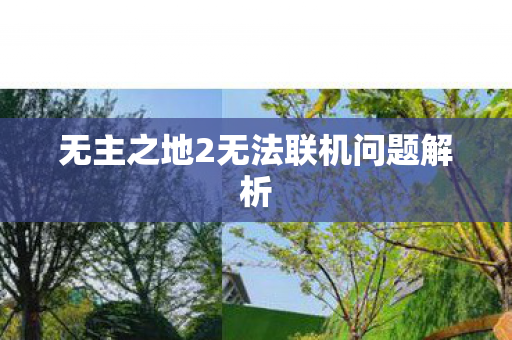无主之地2无法联机问题解析图片