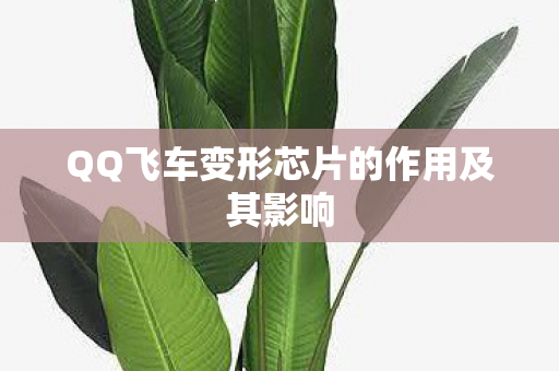 QQ飞车变形芯片的作用及其影响图片