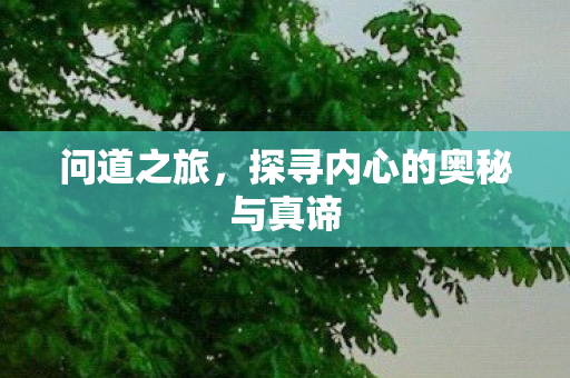 探寻内心的奥秘与真谛图片