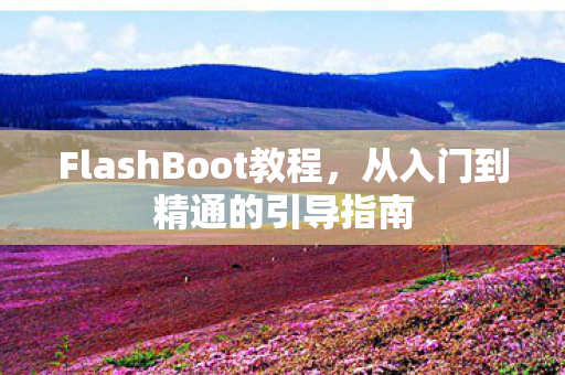 FlashBoot教程图片