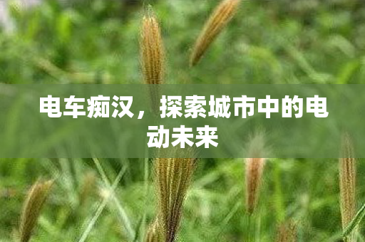 探索城市中的电动未来图片