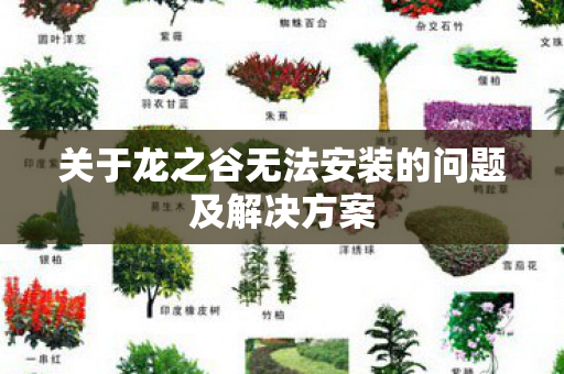 关于龙之谷无法安装的问题及解决方案图片