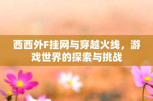 西西外F挂网与穿越火线图片
