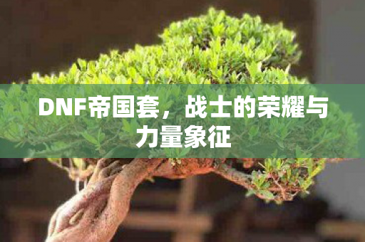 战士的荣耀与力量象征图片
