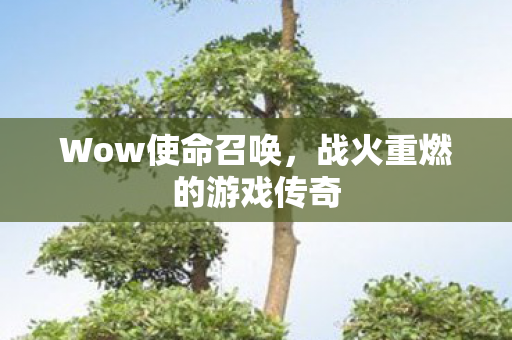 战火重燃的游戏传奇图片