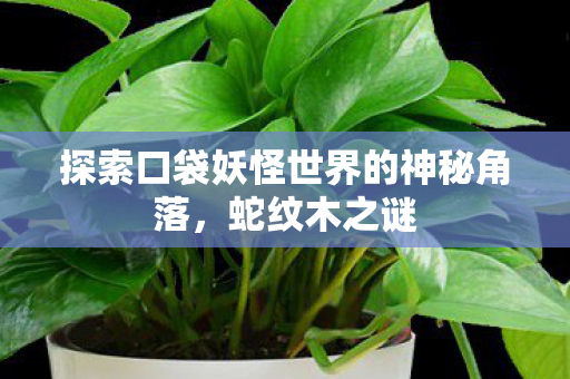 探索口袋妖怪世界的神秘角落图片