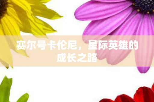 星际英雄的成长之路图片