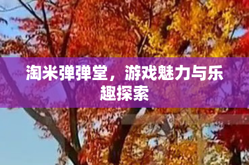 游戏魅力与乐趣探索图片