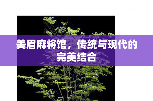传统与现代的完美结合图片