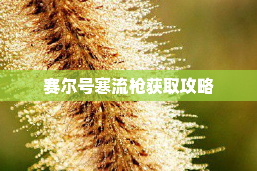 赛尔号寒流枪获取攻略图片