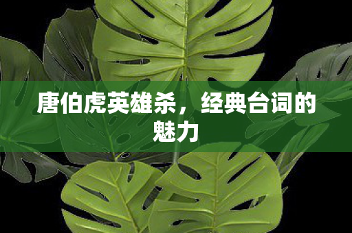 经典台词的魅力图片