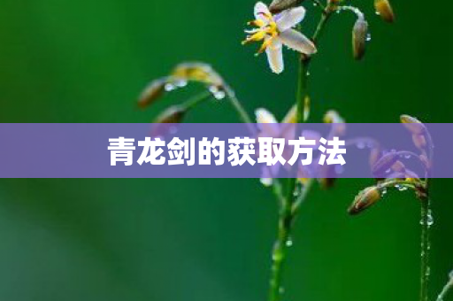 青龙剑的获取方法图片