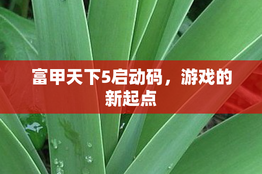 富甲天下5启动码图片