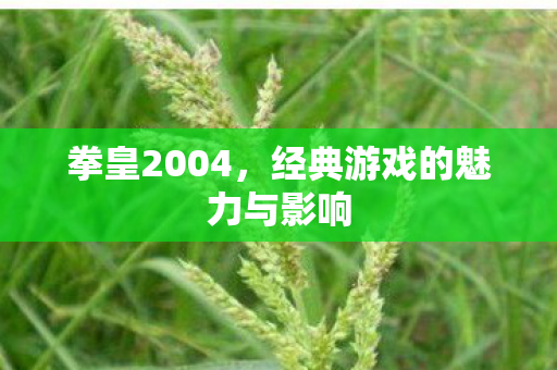 经典游戏的魅力与影响图片