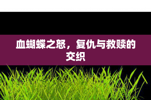 复仇与救赎的交织图片