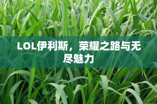 荣耀之路与无尽魅力图片