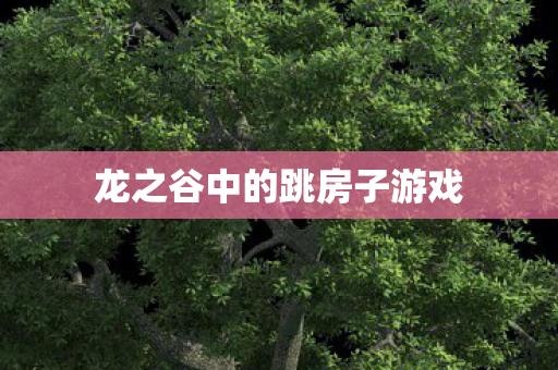 龙之谷中的跳房子游戏图片