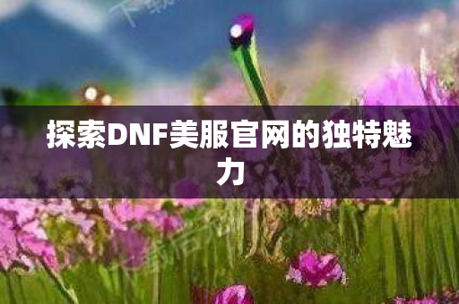 探索DNF美服官网的独特魅力图片