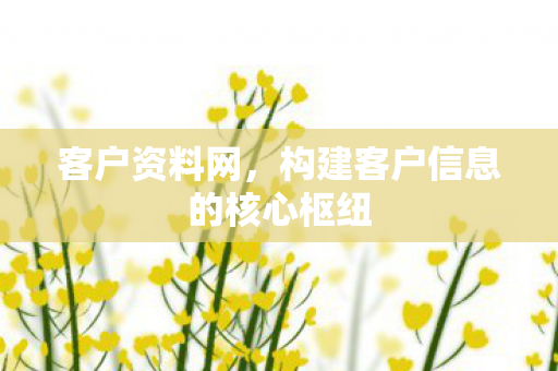 构建客户信息的核心枢纽图片