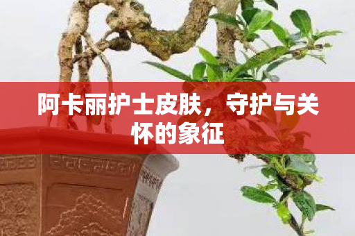 守护与关怀的象征图片