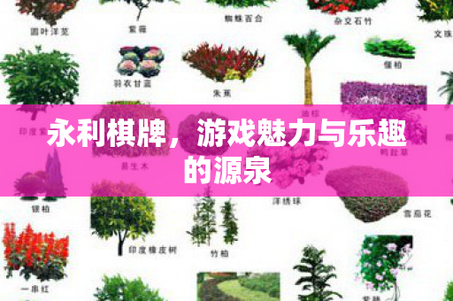 游戏魅力与乐趣的源泉图片