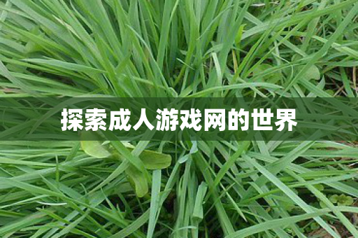 探索成人游戏网的世界图片