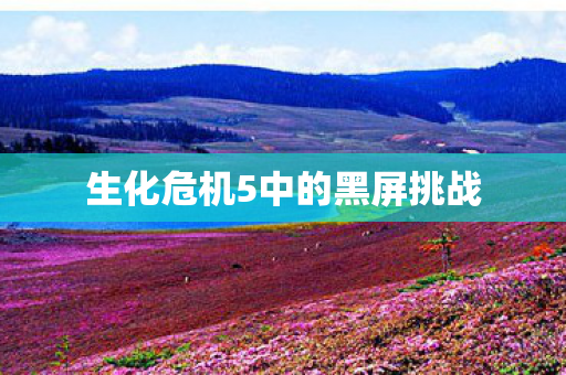 生化危机5中的黑屏挑战图片