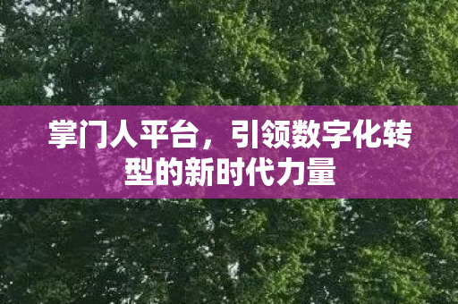 引领数字化转型的新时代力量图片