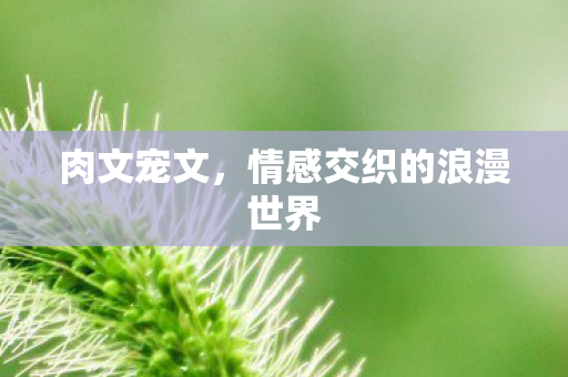 情感交织的浪漫世界图片
