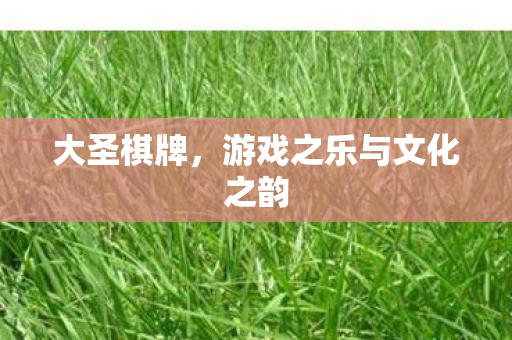 游戏之乐与文化之韵图片
