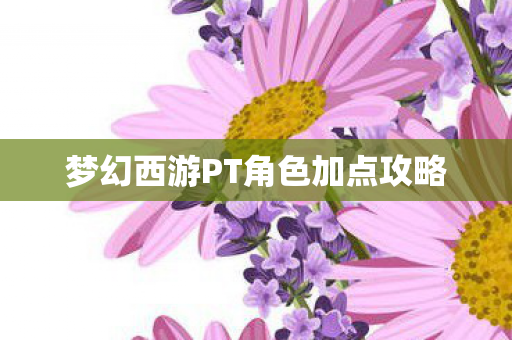 梦幻西游PT角色加点攻略图片