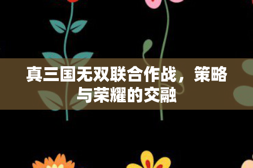 真三国无双联合作战图片