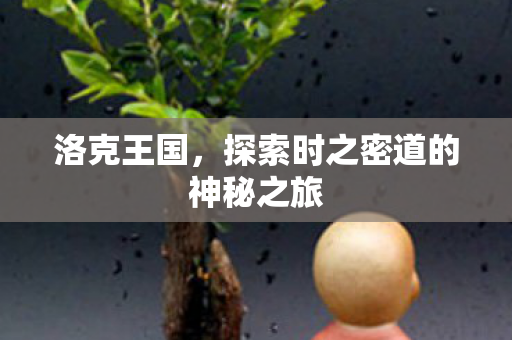 探索时之密道的神秘之旅图片