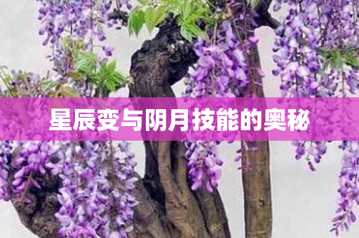 星辰变与阴月技能的奥秘图片