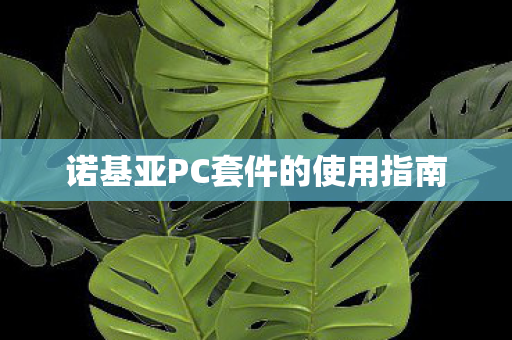 诺基亚PC套件的使用指南图片