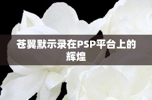 苍翼默示录在PSP平台上的辉煌图片