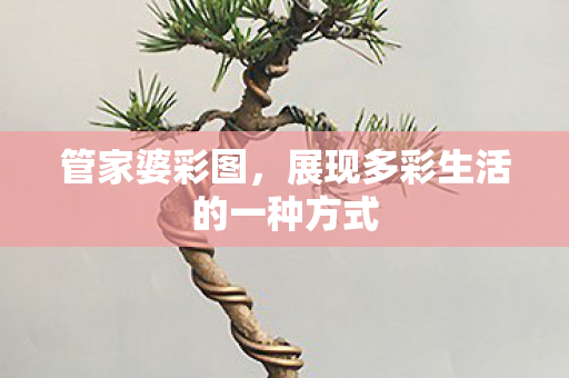 展现多彩生活的一种方式图片