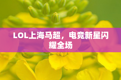电竞新星闪耀全场图片