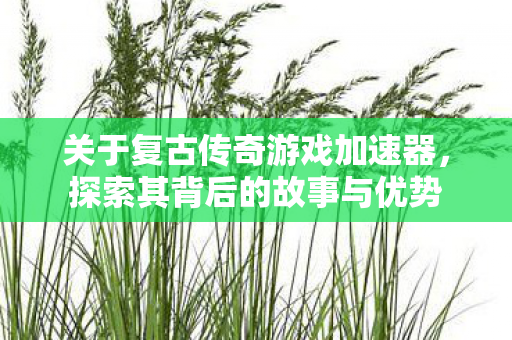 关于复古传奇游戏加速器图片