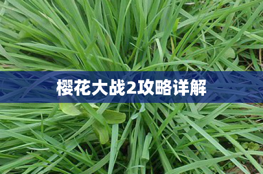 樱花大战2攻略详解图片
