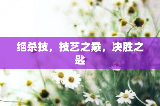 技艺之巅图片