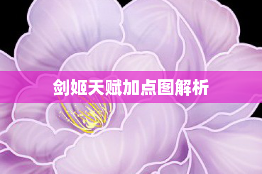 剑姬天赋加点图解析图片